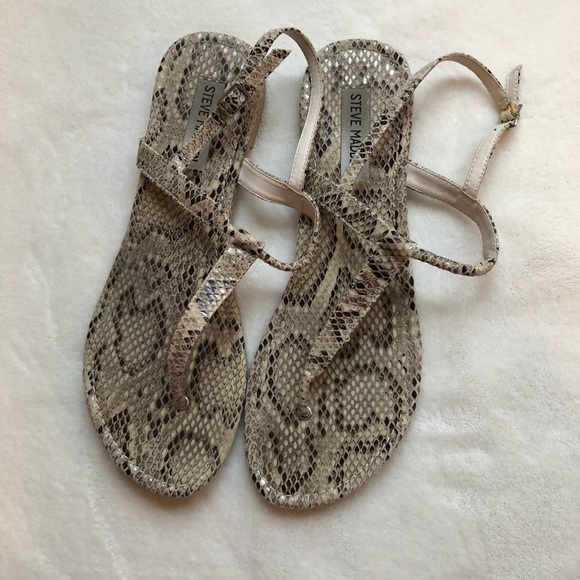 Snakeskin leather Seeri Steve Madden Sandals - Picture 2 of 3